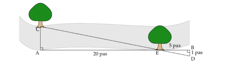 Schéma d'une rivière avec deux arbres, les points A, E, B alignés et les points C, E, D alignés, distances 20 pas, 5 pas et 1 pas